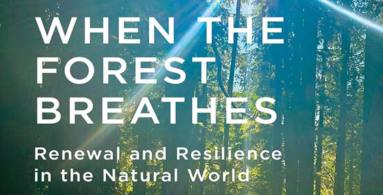 Book review: When the Forest Breathes