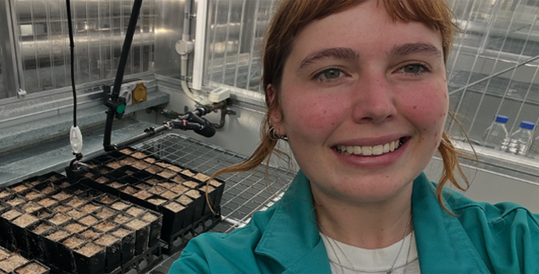 STEP research grant for 2026