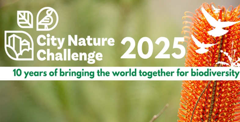City Nature Challenge