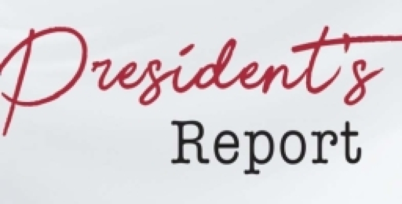 Annual report for the year to November 2025