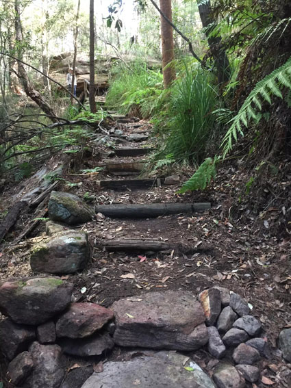 steps