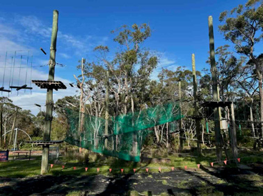 treetops1 2