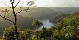 Plan of Management for Berowra Valley National and Regional Parks finally released