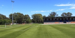 Councils are Pushing Ahead With Synthetic Turf Installations