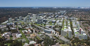 Ivanhoe Development: Will there be Genuine Offsets for the Loss of STIF Vegetation?