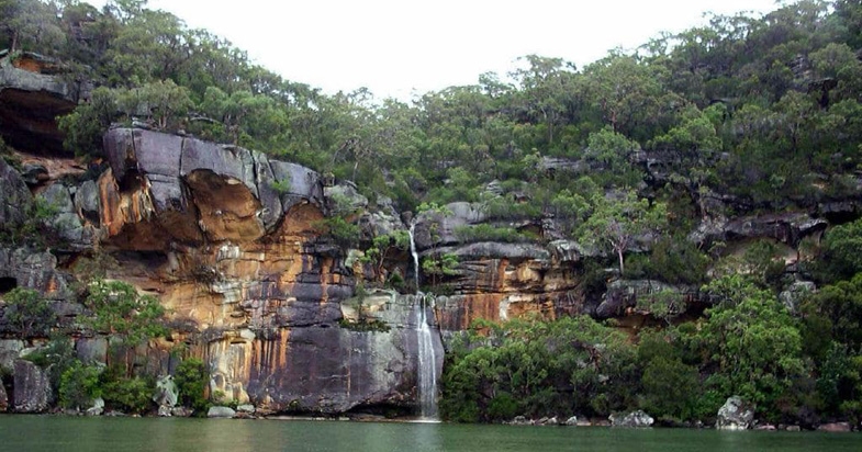 Zweet ziekenhuis dwaas Time for Ku-ring-gai Chase National Park to be World Heritage Listed
