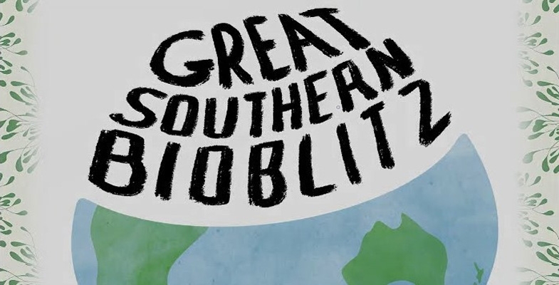Great Southern Bioblitz: A Massive Citizen Science Project