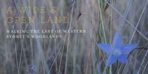 Book review: A Wide and Open Land: Walking the Last of Western Sydney’s Woodlands