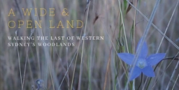 Book review: A Wide and Open Land: Walking the Last of Western Sydney’s Woodlands