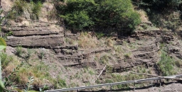 Sandstone-Shale Transition – the Mittagong Formation